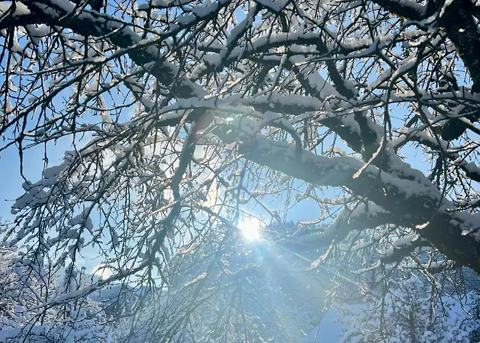 Apartamento Im Emmental